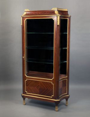 Tall 19th century dark wood and glass vitrine